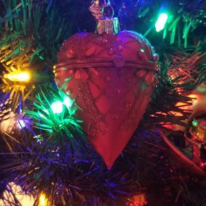 Meet your Posher, Sandy